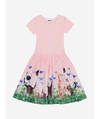 Molo Girls Yin Tang Kitten Print Dress in Pink Les êtres humains sont 