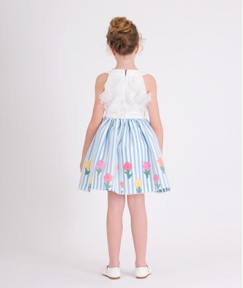 Mama Luma Girls Organza Layered Flower Dress in Blue Economisez 