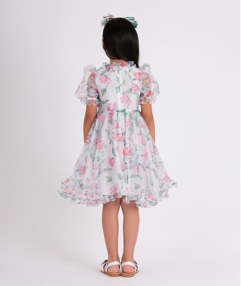 Mama Luma Girls Organza Ruffle Rose Dress in White est présent 