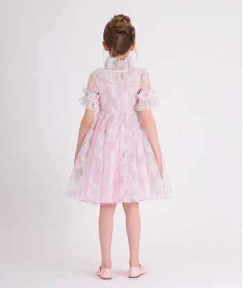 Mama Luma Girls Micro Flowers Princess Dress in Pink de France