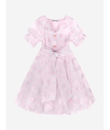 Mama Luma Girls Micro Flowers Princess Dress in Pink de France