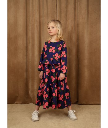 Mini Rodini Girls Rose Frill Dress in Blue l'achat 