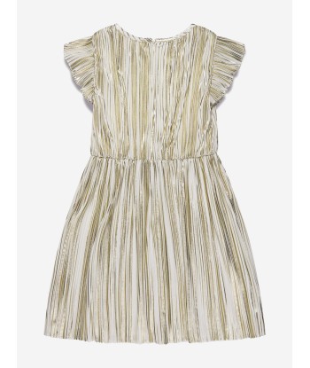 Michael Kors Girls Pleated Dress in Gold de la marque