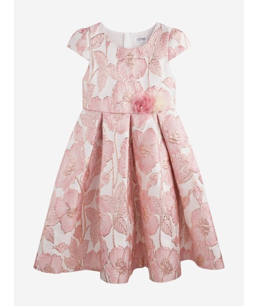 iAMe Girls Flower Brocade Dress in Pink meilleur choix