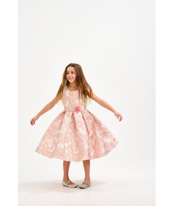 iAMe Girls Flower Brocade Dress in Pink meilleur choix