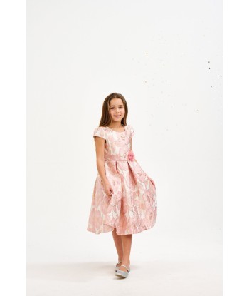 iAMe Girls Flower Brocade Dress in Pink meilleur choix