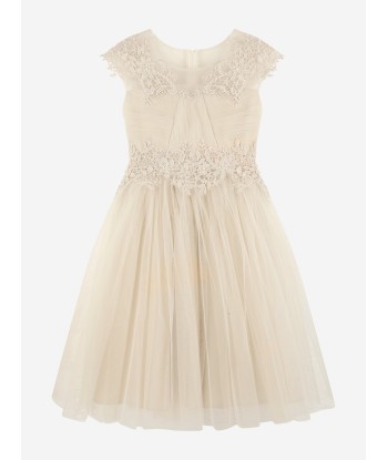 iAMe Girls Tulle Embroidered Dress in Gold de France