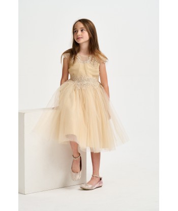 iAMe Girls Tulle Embroidered Dress in Gold de France