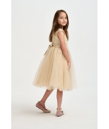 iAMe Girls Tulle Embroidered Dress in Gold de France