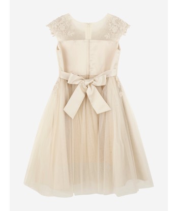 iAMe Girls Tulle Embroidered Dress in Gold de France